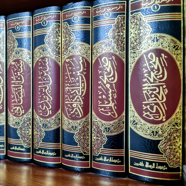 L’authentique de la sounnah Albani choisi