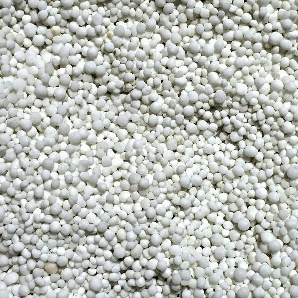 Tapioca perles boba traditionnel 500g
